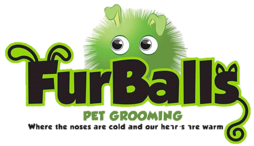 Furballs Pet Grooming