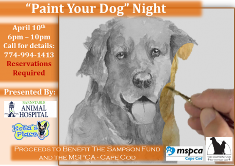Paint Your Dog Night