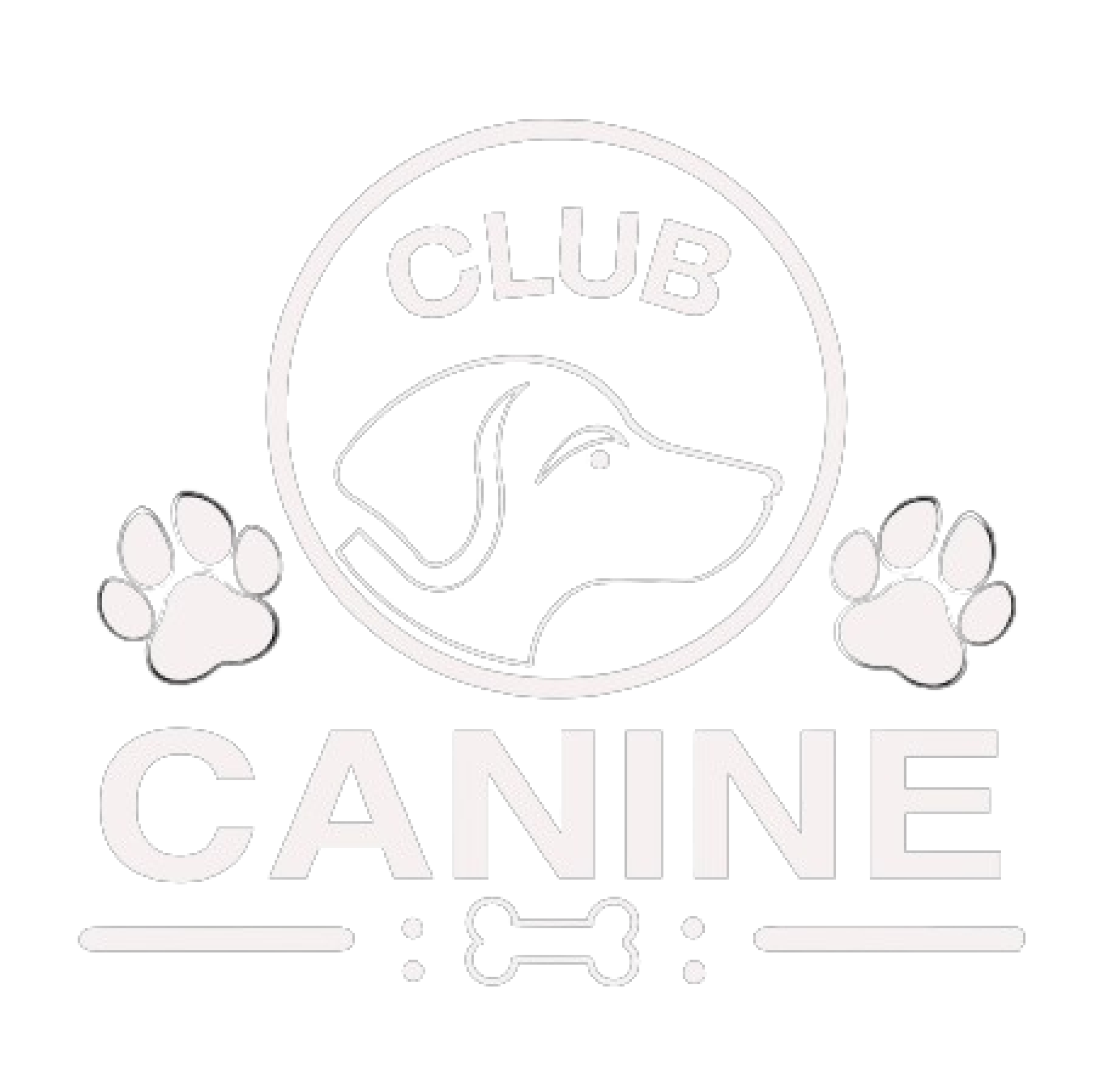 Club Canine Place Dog Daycare